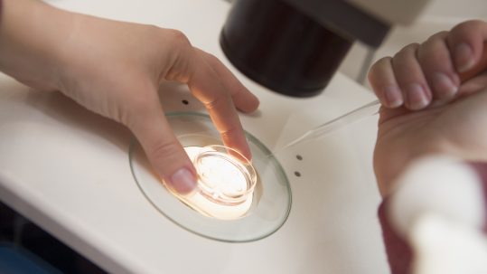 reproducción asistida de Fertiapp: imagen de un laboratorio de fertilidad